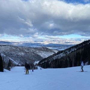 Meet your Posher, Max